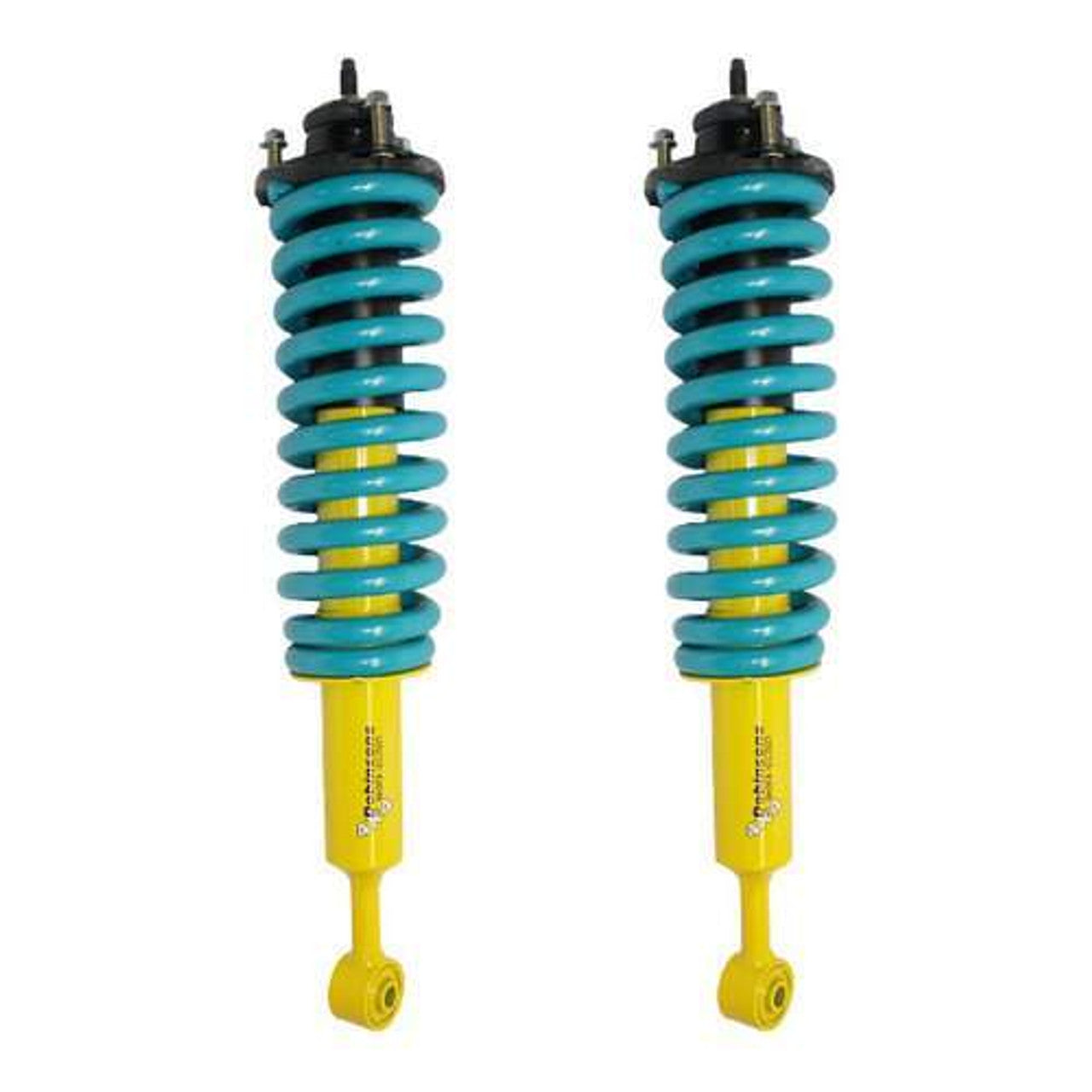 Front Pair Strut Assembly (requires cap purchase) - STRUTASSY
